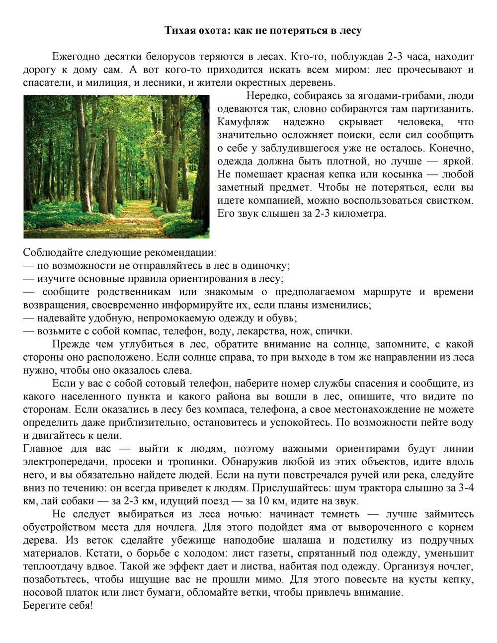 Безопасное детство - Методический портал системы образования г. Гродно